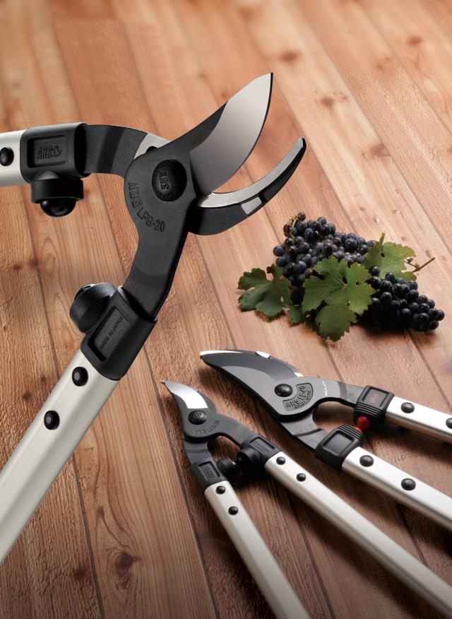 ARS Ørnenæb 63cm. LPB-30M