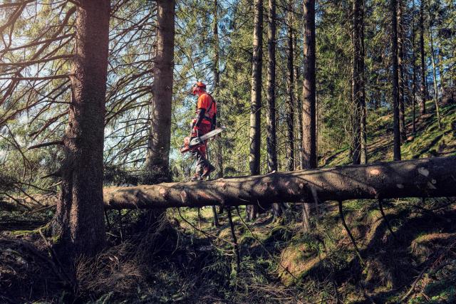 Husqvarna 572XPG, savkrop u/sværd & kæde