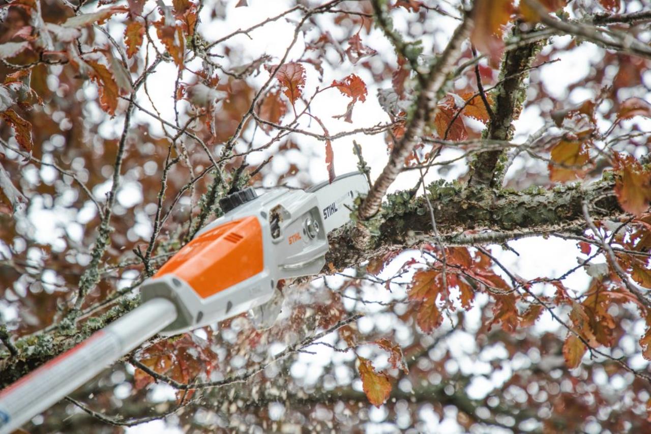 Stihl HTA50.0Kpl Teleskopsav, inkl. AK20/AL101