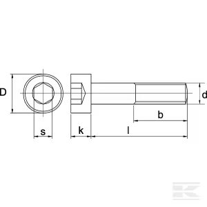 Perfect bolt M10 × 60