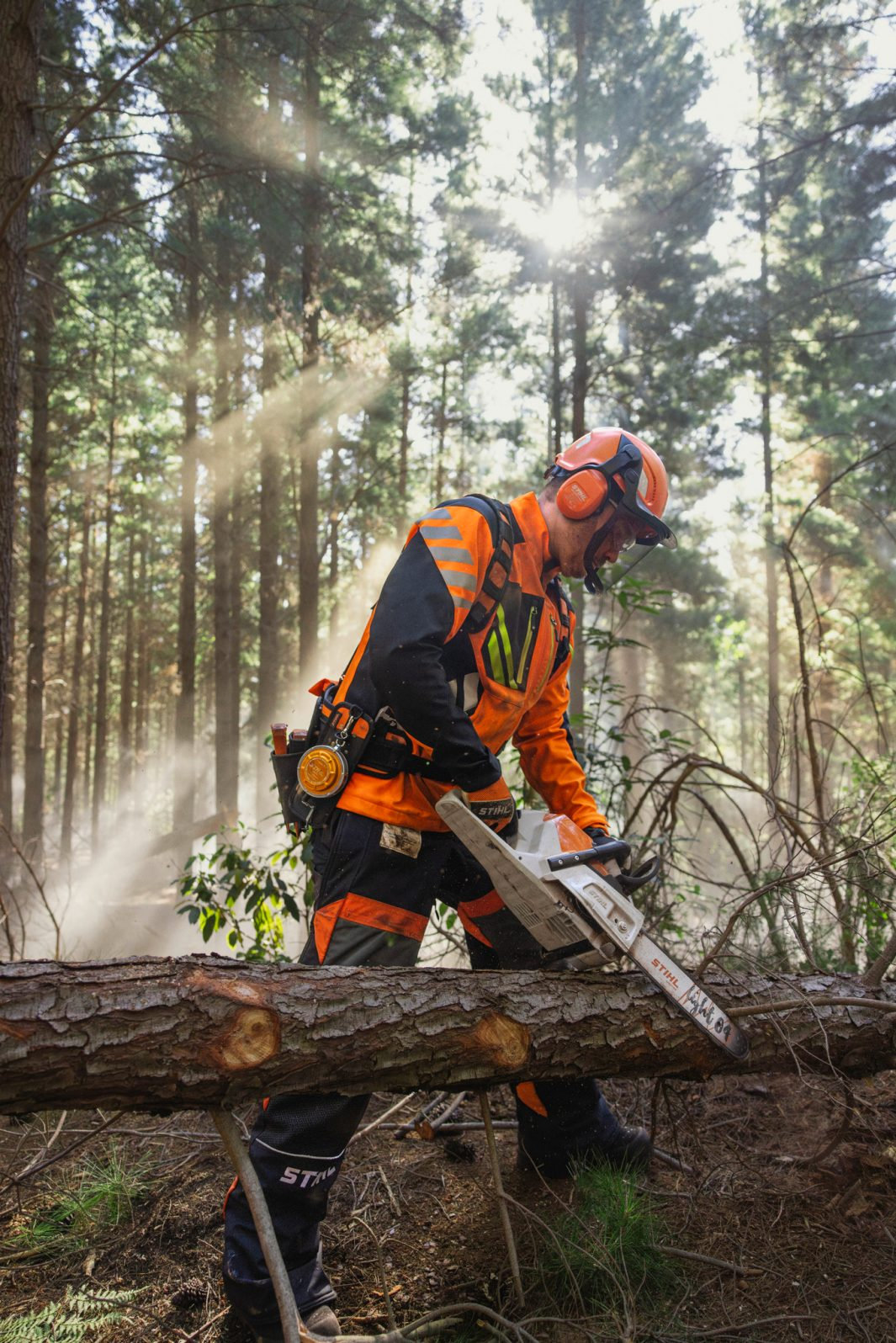Stihl MSA260.0COW Batteri motorsav m/varme AP