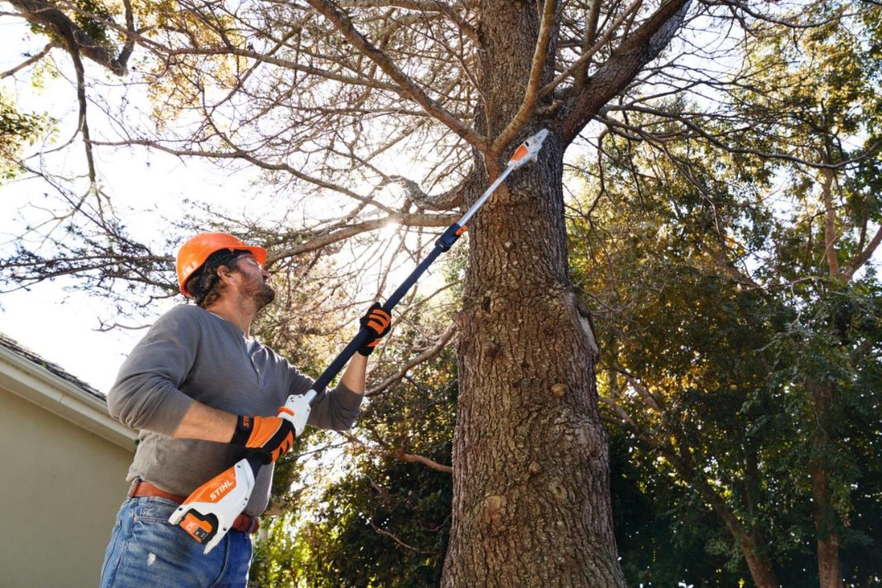 Stihl HTA50 Akku stangsav AK u/batteri og lader 