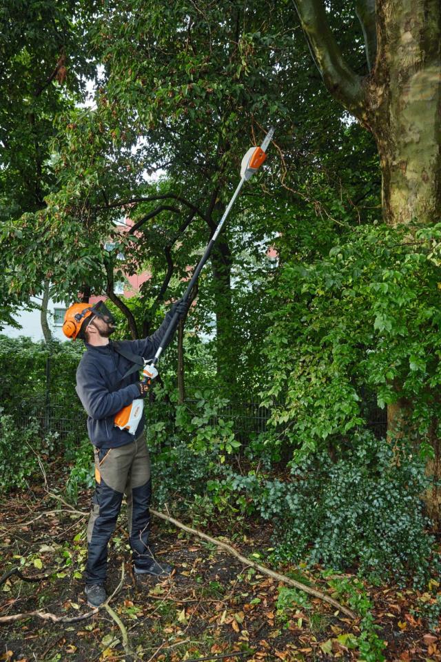 Stihl HTA66 Batteri stangsav 1/4" PM3 30cm 240cm