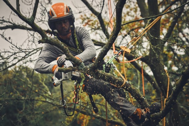 Stihl GTA40.0Kpl. Batteridrevet håndsav m/2xAS2Batteri+AL5-2Lader