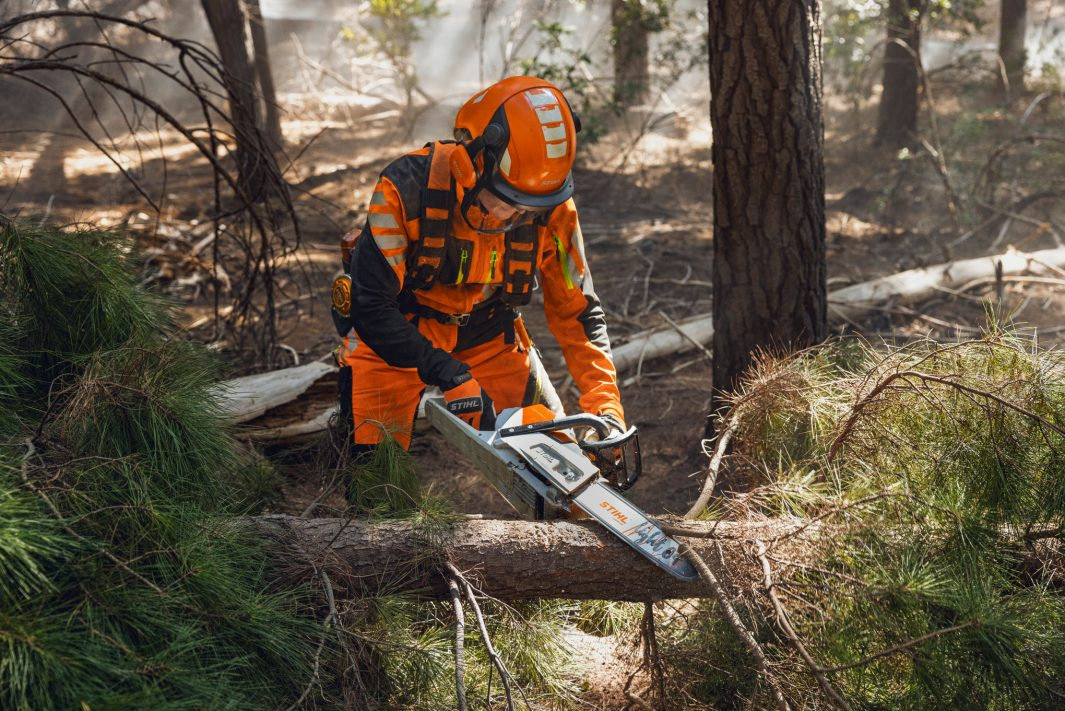 Stihl MSA260.0COW Batteri motorsav m/varme AP